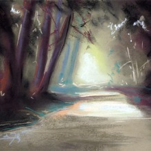 Bosque-X