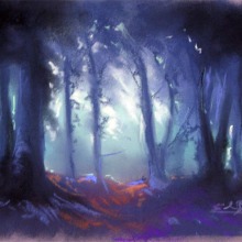 Bosque-XI