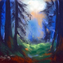 Bosque-XII